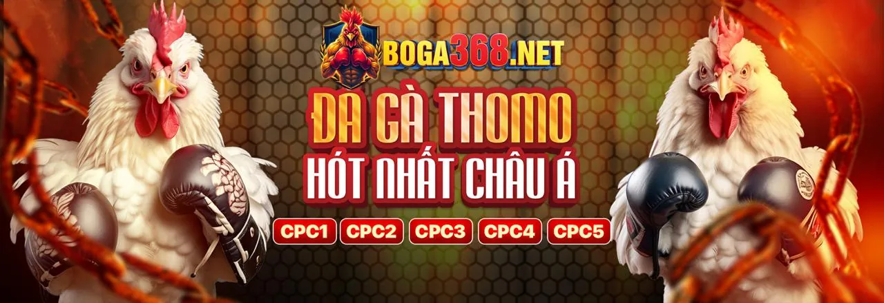 Sân đấu đá gà trực tuyến sôi động tại ga179 khuyến mãi