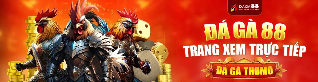 Trải nghiệm VIP đẳng cấp